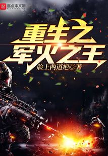 重生之军火之王