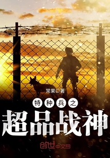 特种兵之超品战神免费阅读