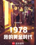 1978:我的黄金时代