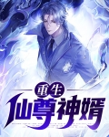 重生仙尊神婿