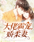 大佬霸宠娇柔妻