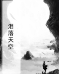 泪落天空