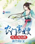 农门寡嫂的主母历程