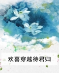 欢喜穿越待君归