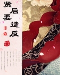 重生之贤后要造反