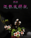 西游，还能这样玩