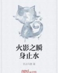 火影之瞬身止水