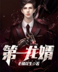 第一龙婿