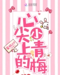 心尖上的小青梅