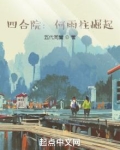 四合院：何雨柱崛起