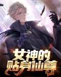 女神的贴身仙尊