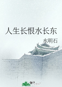 人生长恨水长东