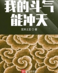 我的斗气能冲天