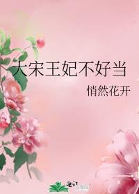 大宋王妃不好当txt百度云