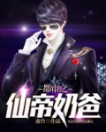 都市之仙帝奶爸