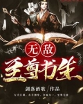 无敌至尊书生
