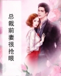 总裁前妻很抢眼