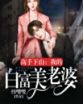 高手下山：我的白富美老婆