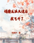 错撩反派大佬后我飞升了
