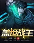盖世战王