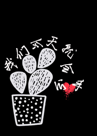 我们今天就会分手小说