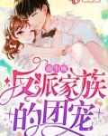 重生成反派家族的团宠