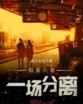 相爱只是一场分离