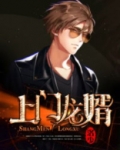 上门龙婿