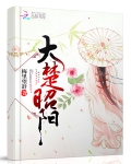 大楚昭阳