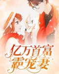 亿万首富霸宠妻