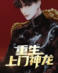 重生上门神龙
