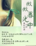 微微暮光中