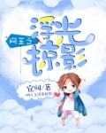 网王之浮光掠影