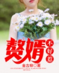 赘婿不好惹