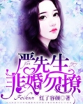 严先生,非婚勿撩