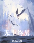 无上终界