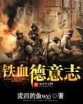 铁血德意志