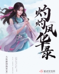 灼灼风华录