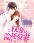 权宠隐秘爱妻