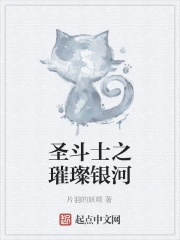圣斗士之璀璨银河