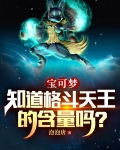 宝可梦:知道格斗天王的含量吗?