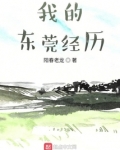我的东莞经历