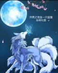 洪荒之我是一只狐狸
