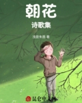 朝花诗歌集