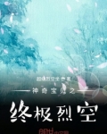 神奇宝贝之终极烈空
