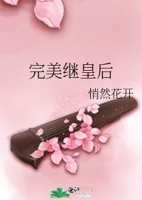 完美继皇后