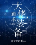 大佬,跪求装备!