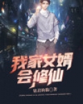 我家女婿会修仙