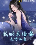 我的未婚妻是修仙者