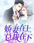 娇妻在上总裁在下